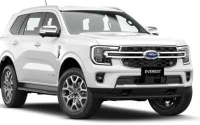 2-Arctic-White-768x407-1